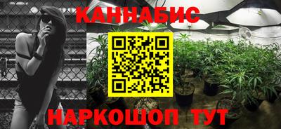 apvp Камышлов