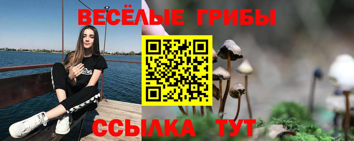 Галлюциногенные грибы Psilocybine cubensis  наркошоп  Королёв  Вход с VPN 